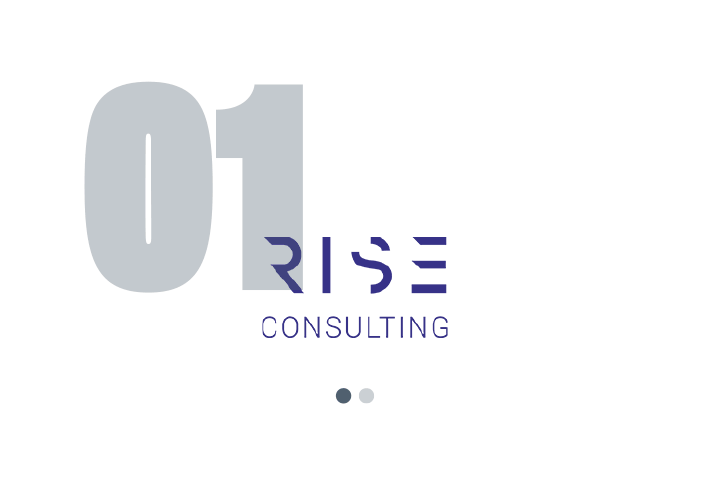logo Rise Consulting Logo Pharexcel